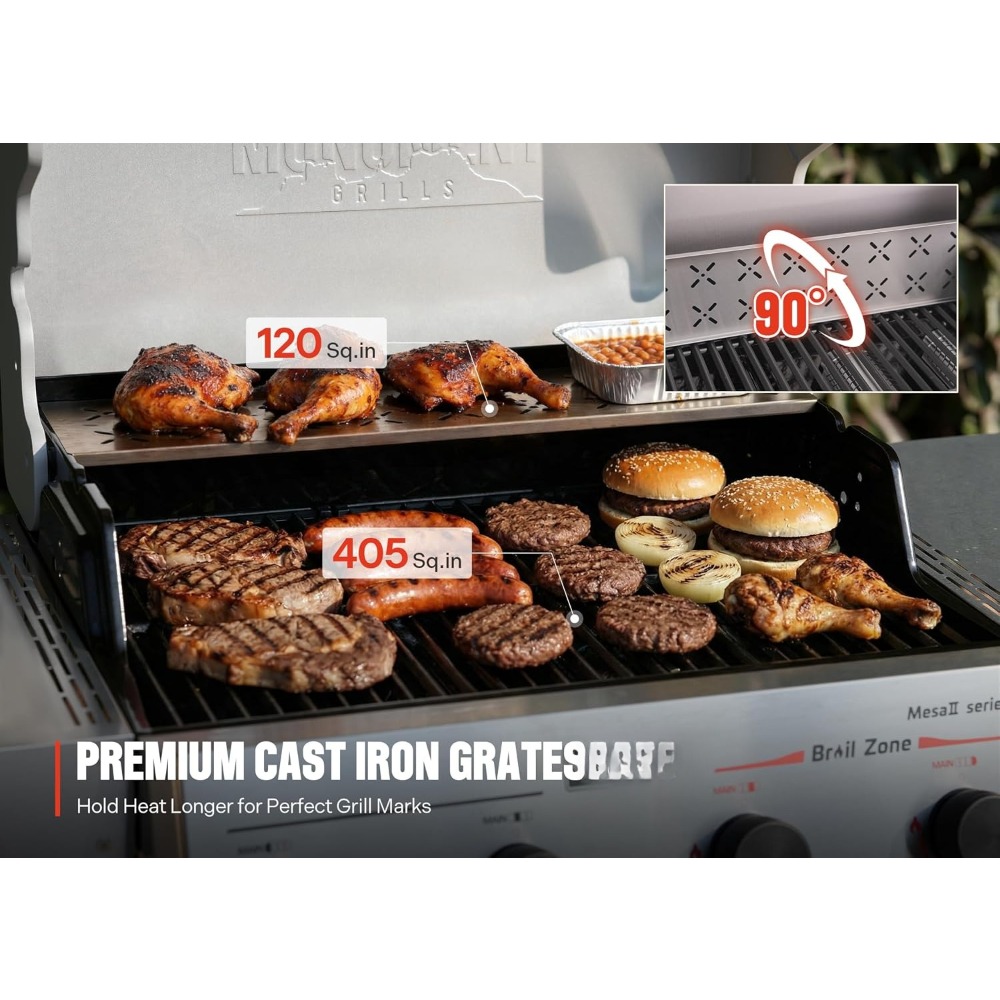 Stainless Steel Gas Grill & Co - Outdoor Furniture Zone review and price