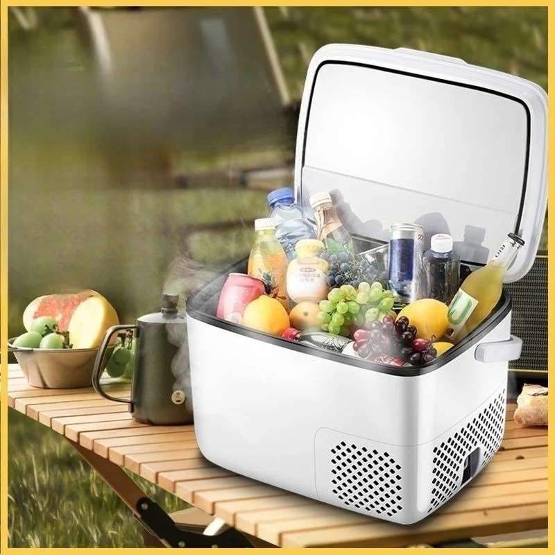 220V /12V /24V Car Refrigerato - Outdoor Furniture Zone review and price