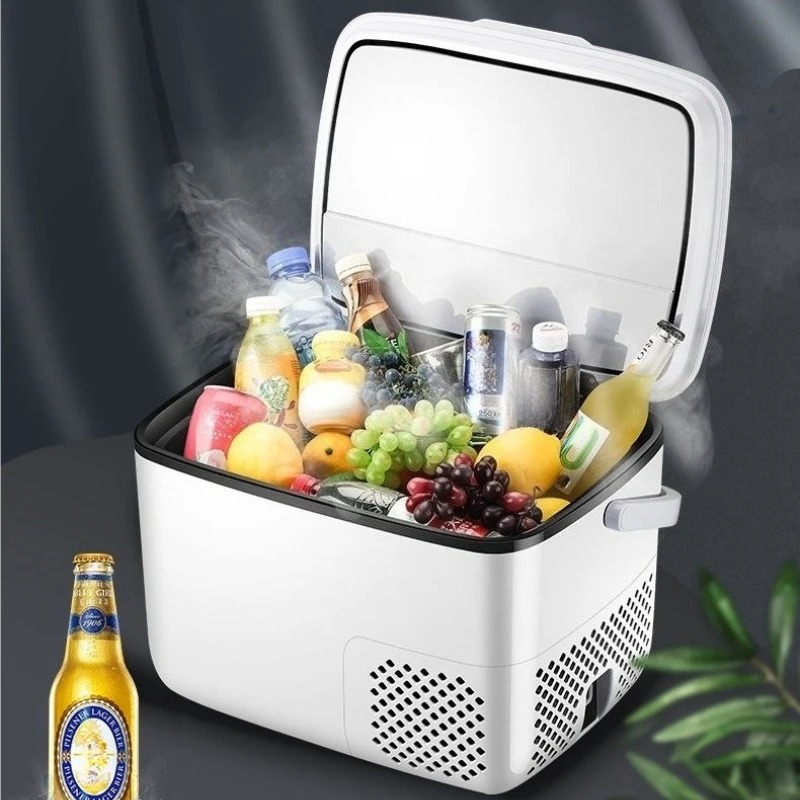 220V /12V /24V Car Refrigerato - Outdoor Furniture Zone review and price