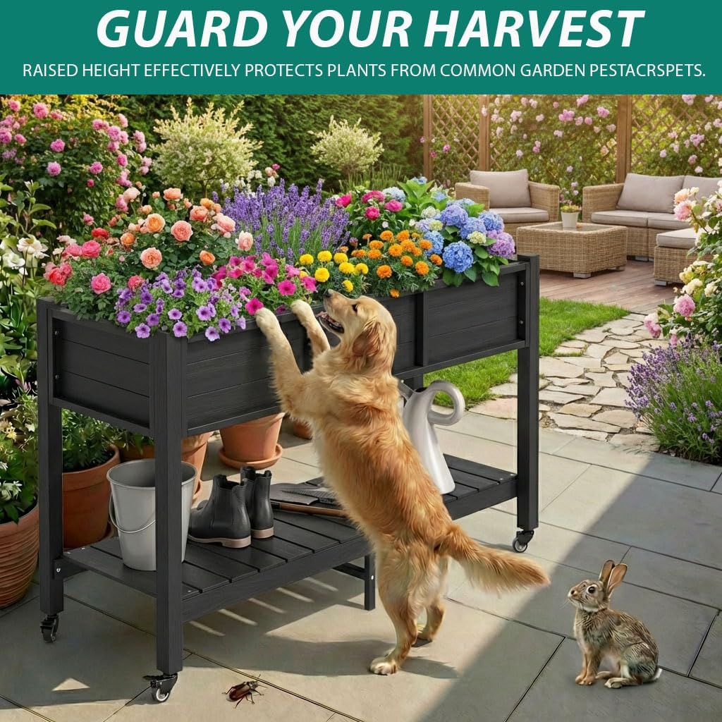 Elevated Raised Garden Bed Wit - Garden Storage Box review and price